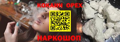 сатива Кингисепп