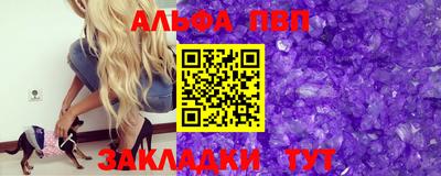 сатива Кингисепп