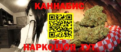 сатива Кингисепп