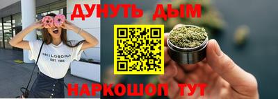 сатива Кингисепп