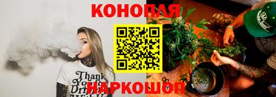 сатива Кингисепп