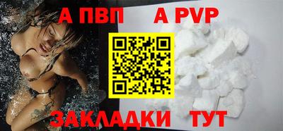 сатива Кингисепп