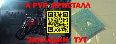 сатива Кингисепп
