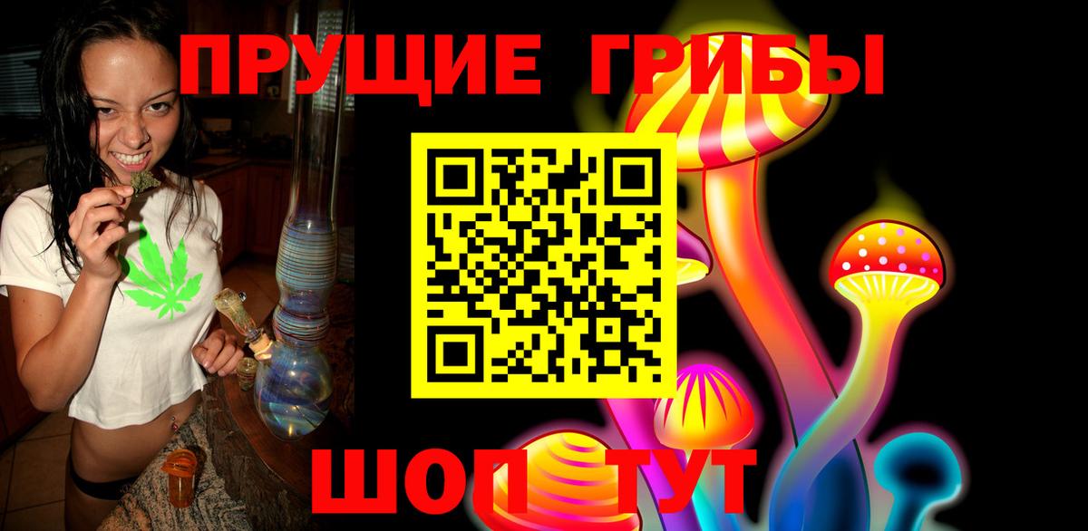 Усть-Илимск  Псилоцибиновые грибы Cubensis  Вход с VPN 